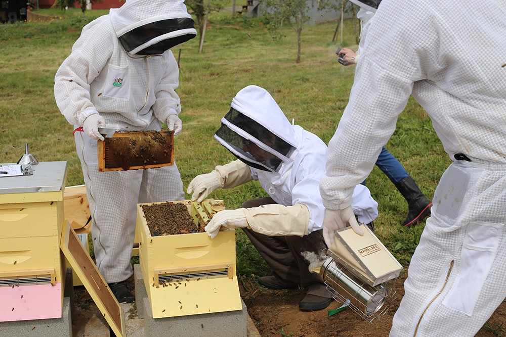 Beekeeping lessons at Blanchet Farm in Carlton, Oregon. Photo by Julie Showers.