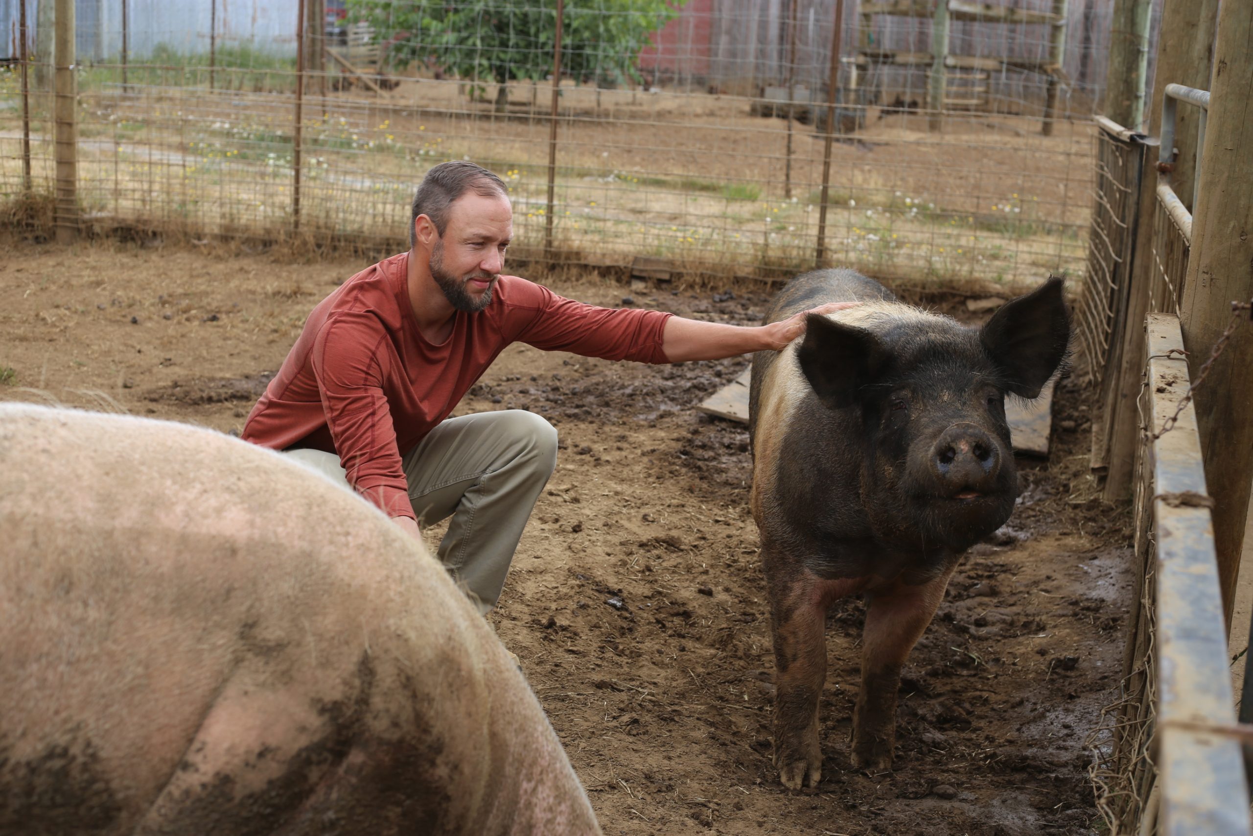 A resident of Blanchet Farm pets a pig kept for therapy and to reduce food waste in the nonprofit sustainable kitchen.