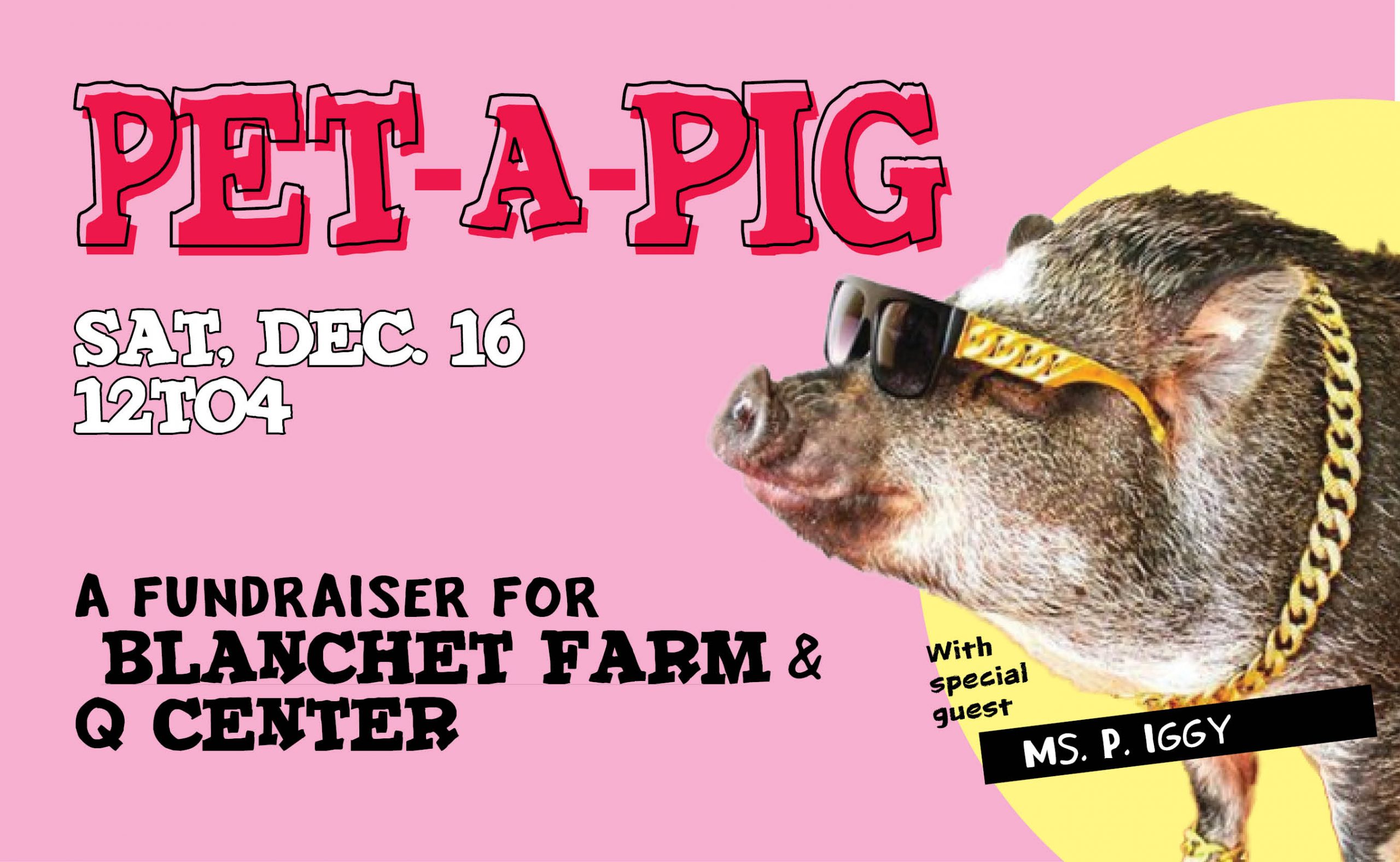 Pet-A-Pig Fundraiser