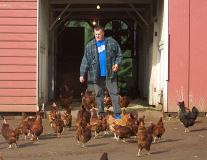 Blanchet Farm chickens home
