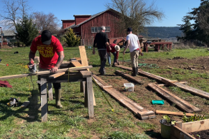 Blanchet Farm residents building raised beds for the vegetable garden.
