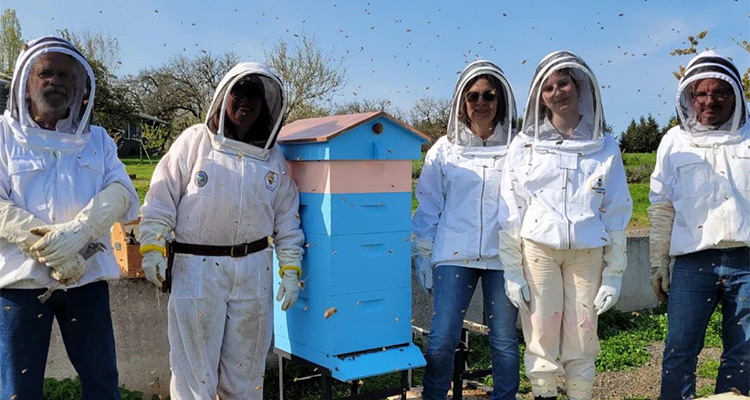 Student Ambassadors learn about Beekeeping at Blanchet Farm