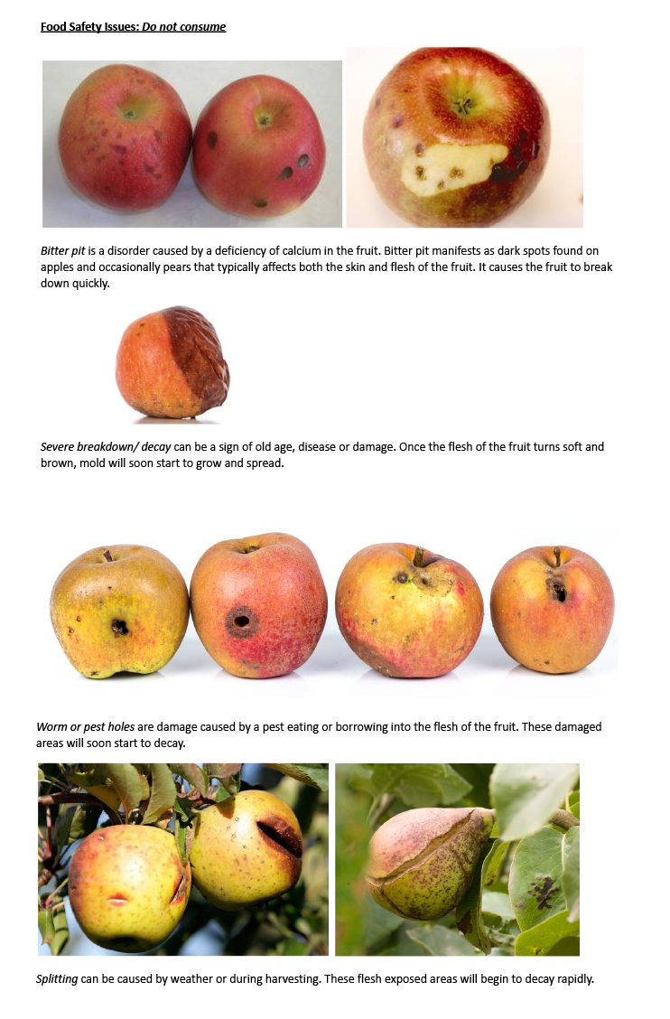 Fall Orchard Fruits- Cosmetic vs Food Safety Issues