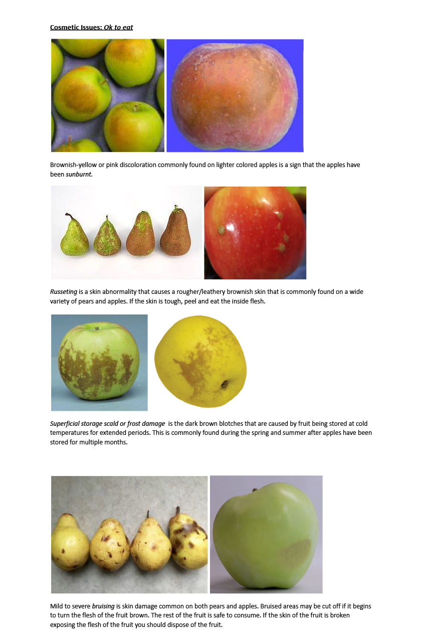 Donated Fruit Safety Safe to Consume