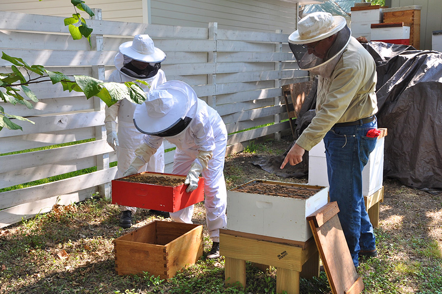 Guide to Beekeeping Step1_take a class