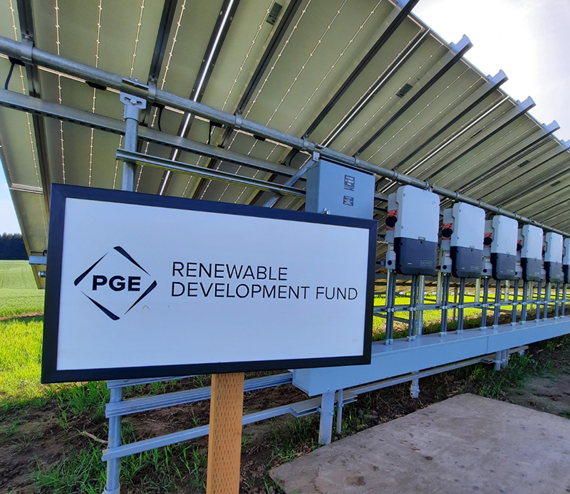 Solar Panels PGE Blanchet Farm Ryan Serle (4)