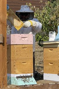 Blanchet Farm resident beekeeping