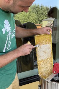 Blanchet Farm resident harvesting honey from beekeeping program