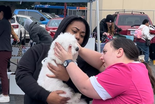 Free Pet Care Clinic